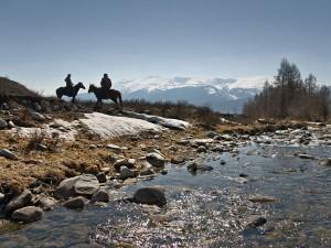 Veon taps ZTE for network upgrade in Kazakhstan 