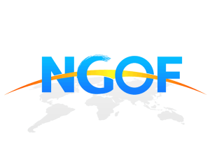 NGOF: On the Right Lines